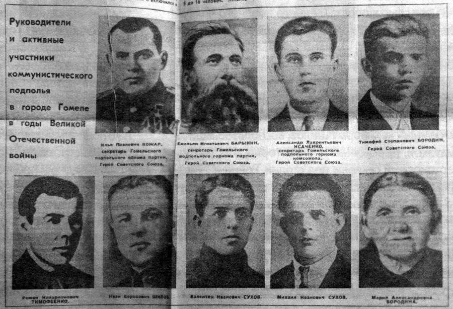 dorogie beregite sebya 7