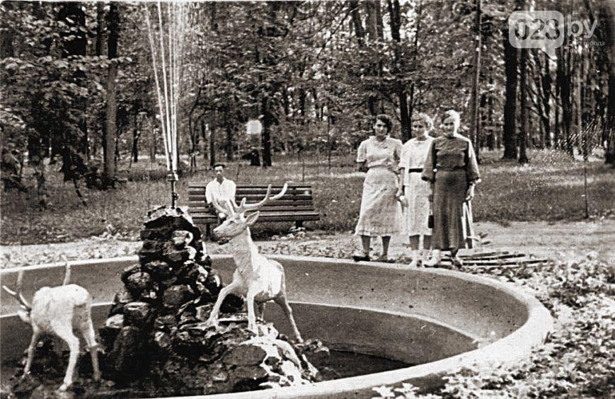 v gomele nachalas rekonstrukciya5