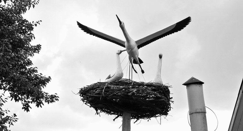 2009 09 17 lyacyac nad utkina busly