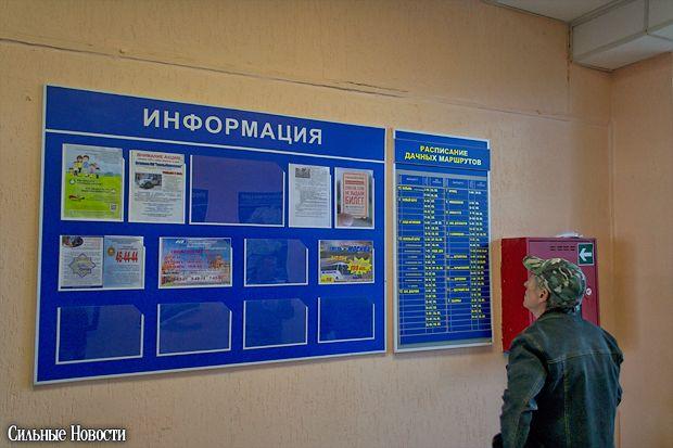 v gomele zavershilas masshtabnaya16