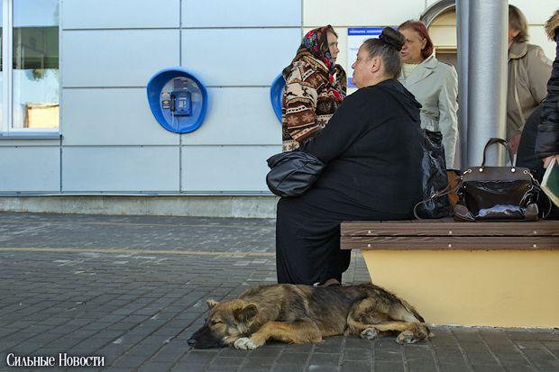 v gomele zavershilas masshtabnaya24