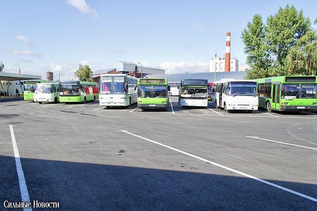 v gomele zavershilas masshtabnaya25